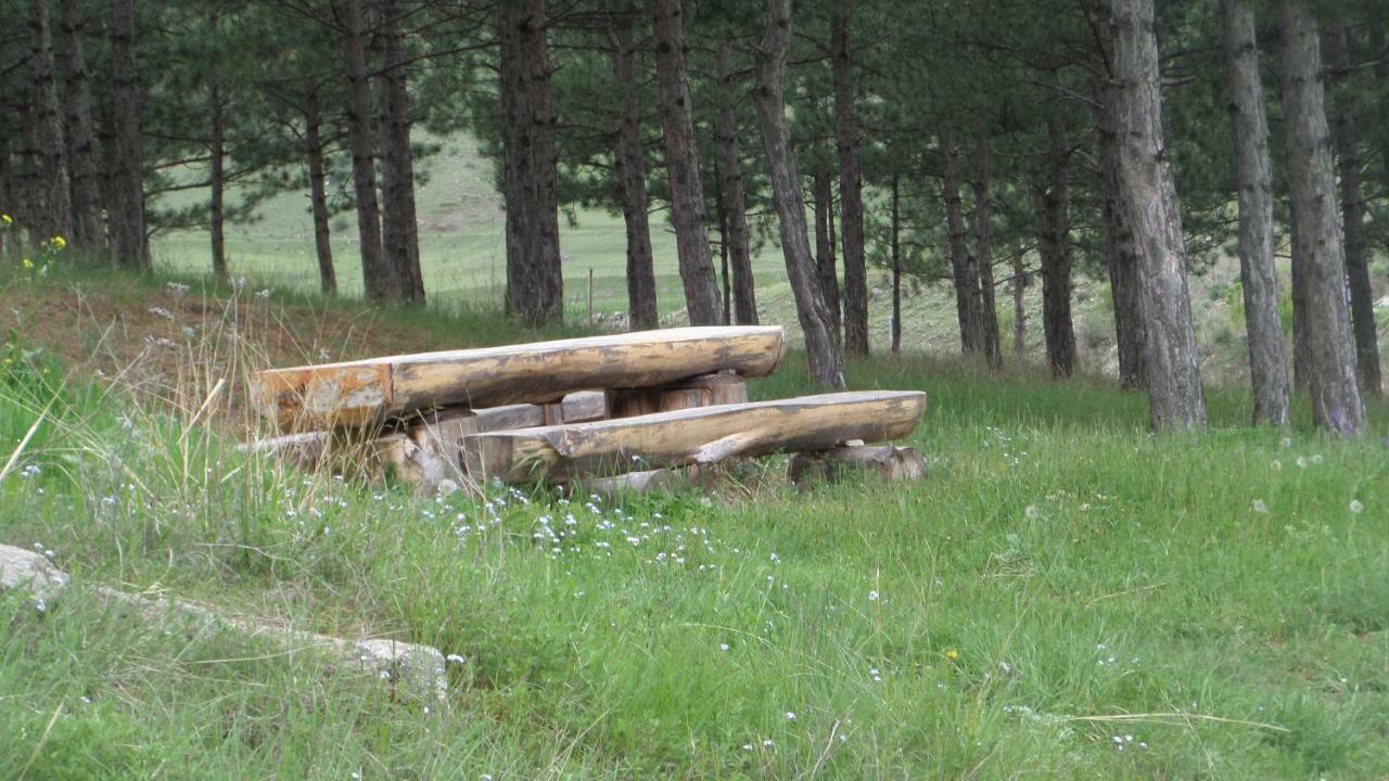 Willa Wooden House ,,Tsunda" T'mogvi Zewnętrze zdjęcie